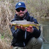 Picture for the banner