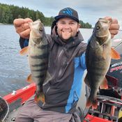 Picture for the banner