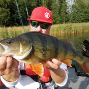 Picture for the banner