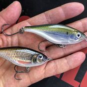 Picture for the banner