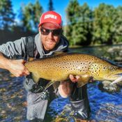 Picture for the banner