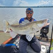 Picture for the banner