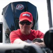 Picture for the banner