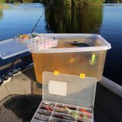 Picture for the banner