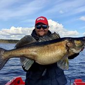 Picture for the banner