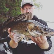 Picture for the banner