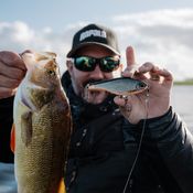 Picture for the banner