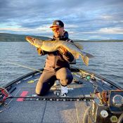 Picture for the banner