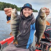 Picture for the banner