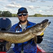 Picture for the banner