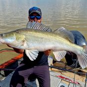 Picture for the banner