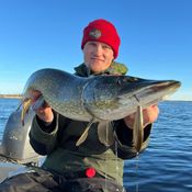 Picture for the banner