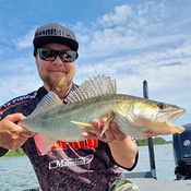 Picture for the banner