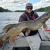 Picture for the banner