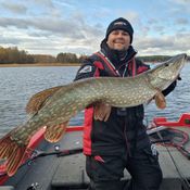 Picture for the banner