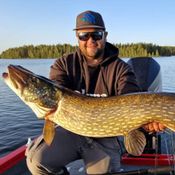 Picture for the banner