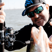 Picture for the banner