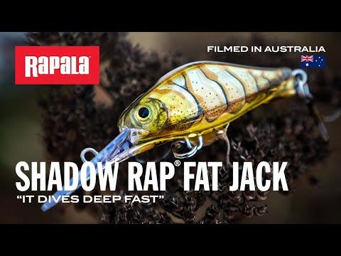 Finesse Fishing with the Shadow Rap® Fat Jack | Rapala®
