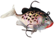 WILDEYE LIVE CRAPPIE 03 /