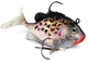 WILDEYE LIVE CRAPPIE 03 /