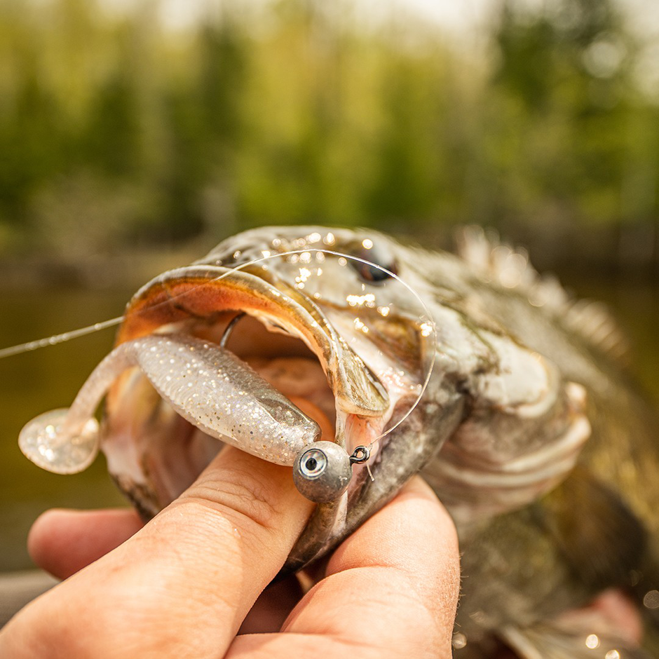 The Mayor CCMYRNE4 APL