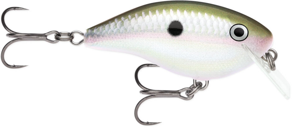 OTT´S GARAGE BIG ROCCO 06 Green Gizzard Shad