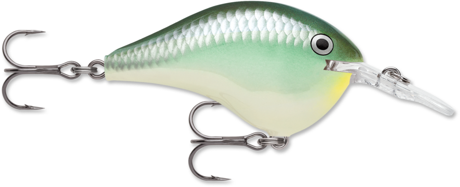 Dives-To 06 Blue Back Herring