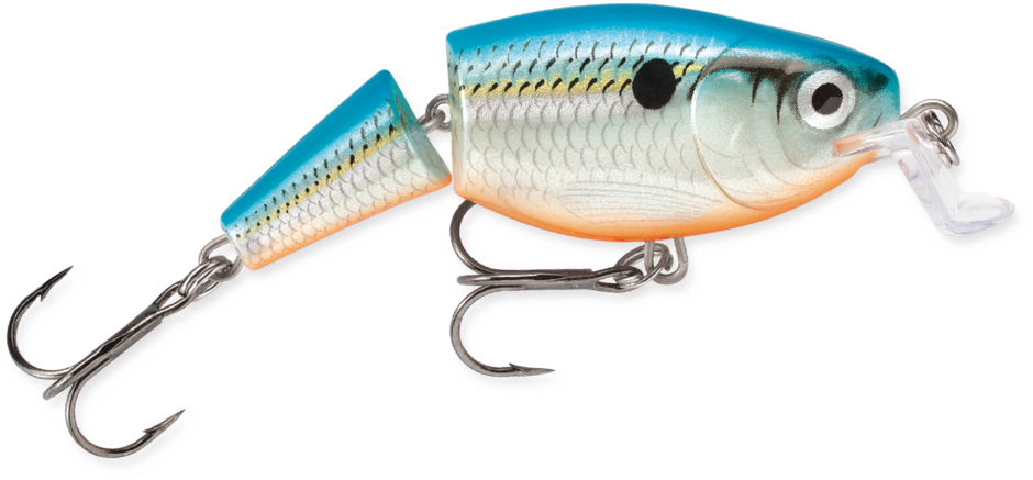 Jointed Shallow Shad Rap 07 Blue Shad