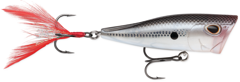 Arashi® Cover Pop | Storm