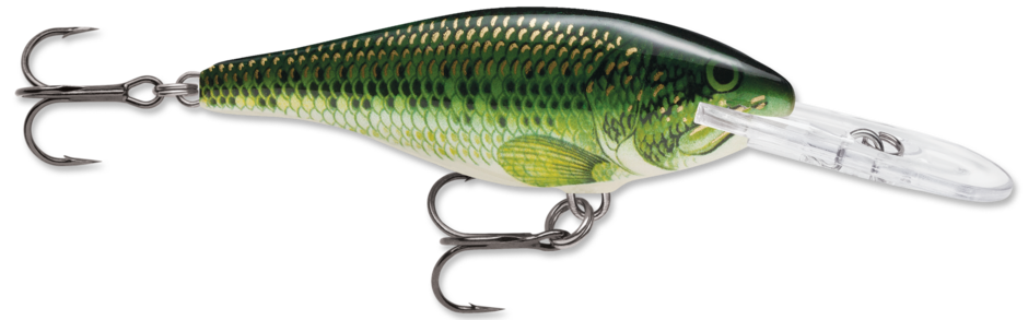 Shad Rap 07 Baby Bass