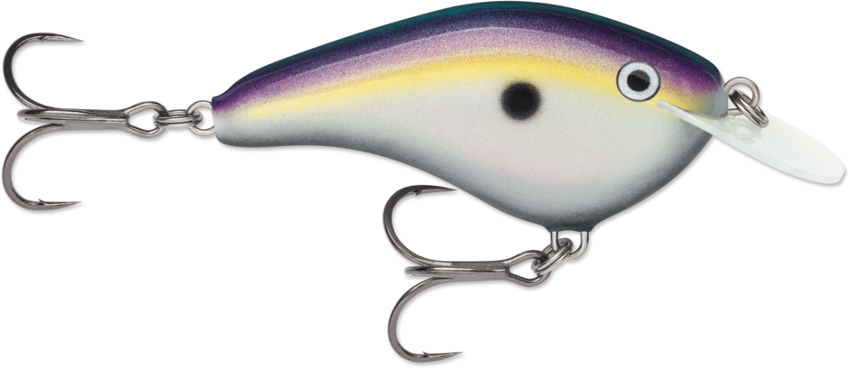 Ott's Garage Slim 06 Big Shad