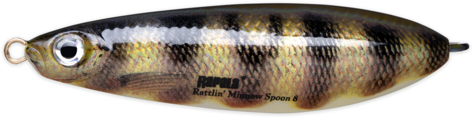 RATTLIN' MINNOW SPOON 08 Live Perch