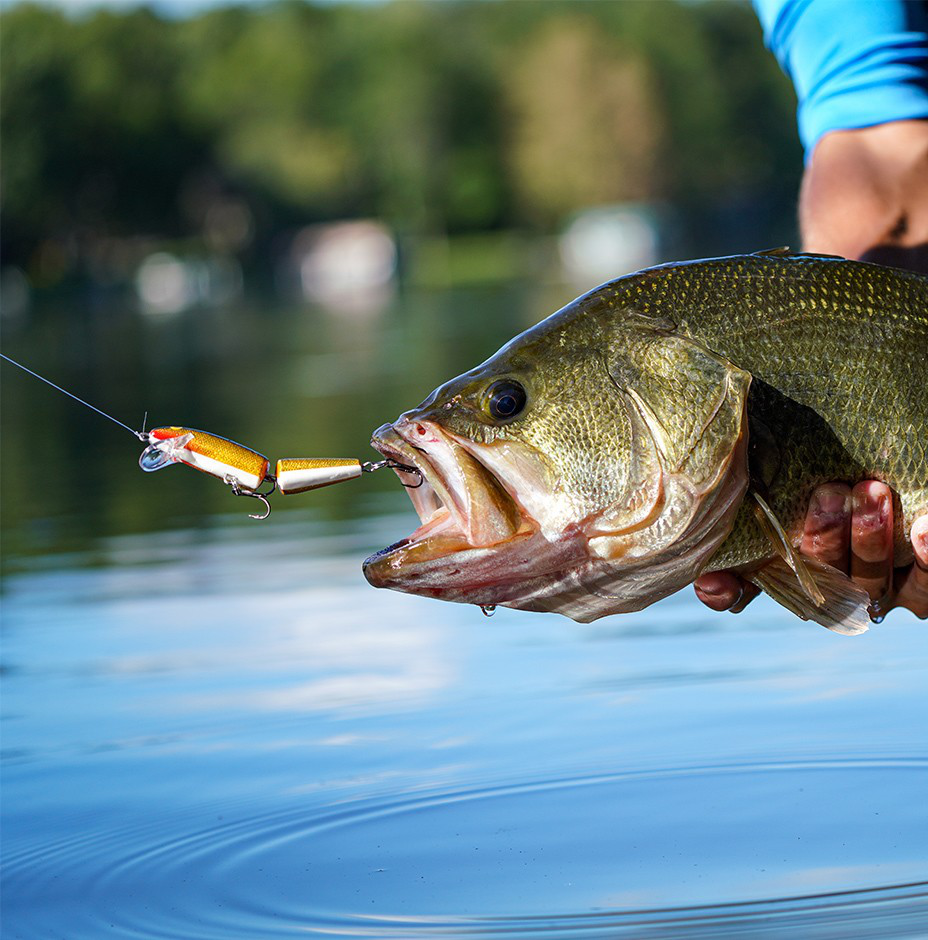 best rapala trout lure Ultra Lite Kit the wounded minnow action continues to be irresistible to trout TOP 3 Rapala Lures For
