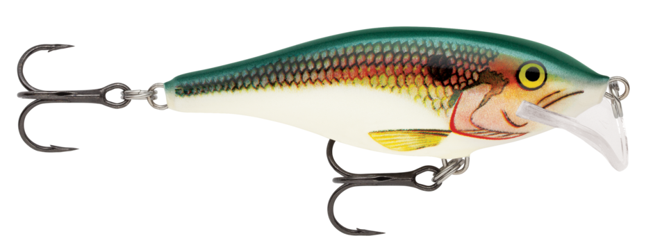 SCATTER RAP SHAD 07 Shad