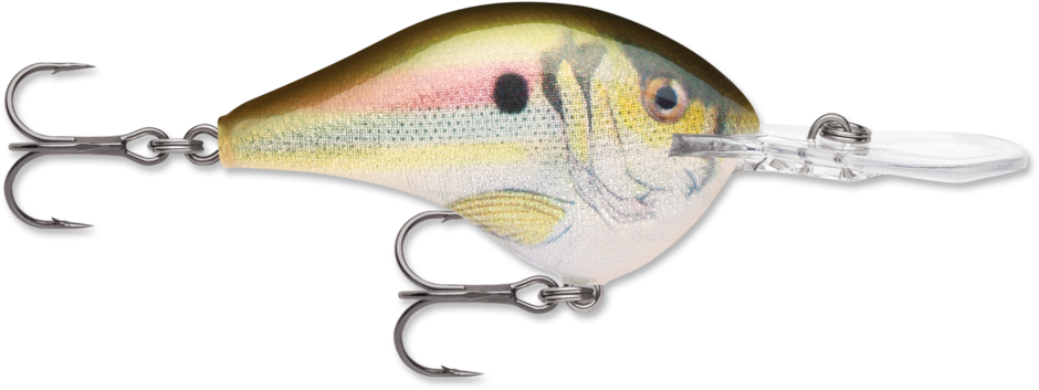 DT® (Dives-To) Series | Rapala