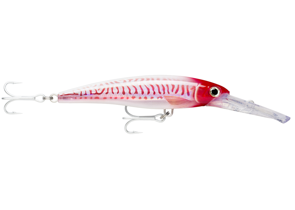 Leurre poisson nageur X-RAP MAGNUM 15 de RAPALA