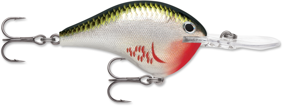Rapala® DT® (Dives-To) Series | Rapala® International Site