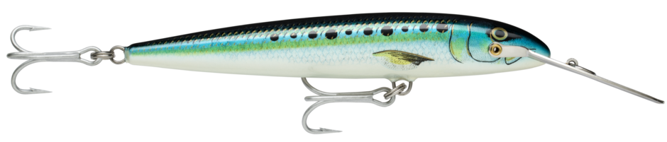 Countdown Magnum 18 Sardine