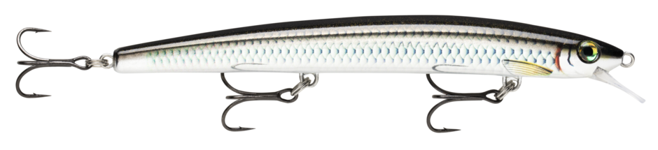 MAXRAP 13 Live Bai Tiao