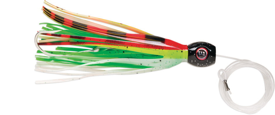 High Speed Sailfish Catcher High Speed Sailfish Catcher