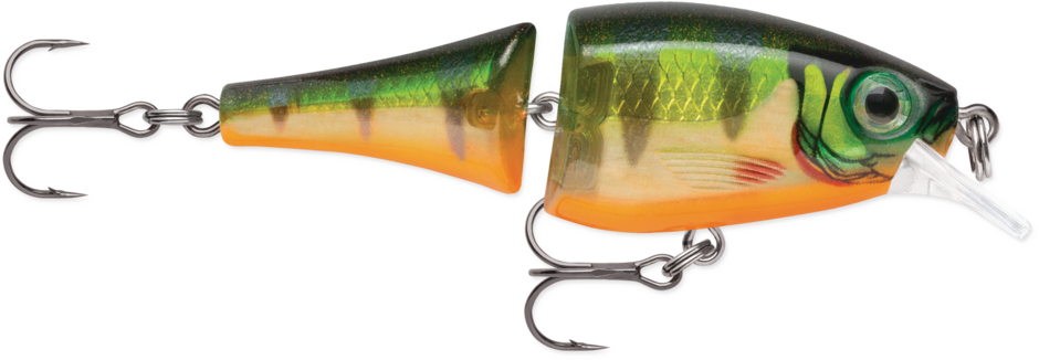 BX Jointed Shad 06 Perch