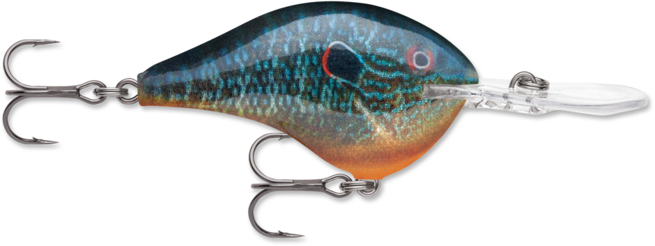 DT 10 Live Pumpkinseed