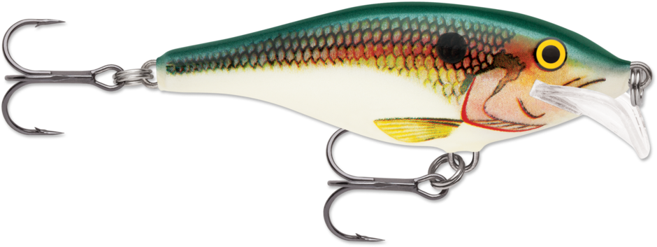 SCATTER RAP SHAD 07 Shad