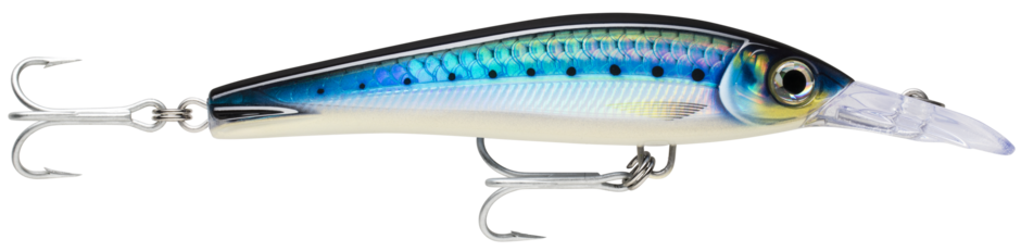 X-RAP MAGNUM XTREME 160 HD Blue Sardine