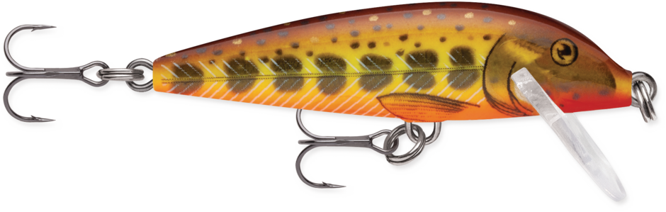 CountDown® | Rapala