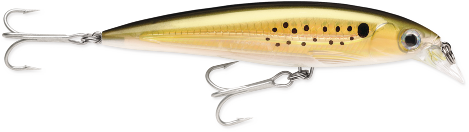 X-Rap® Saltwater | Rapala