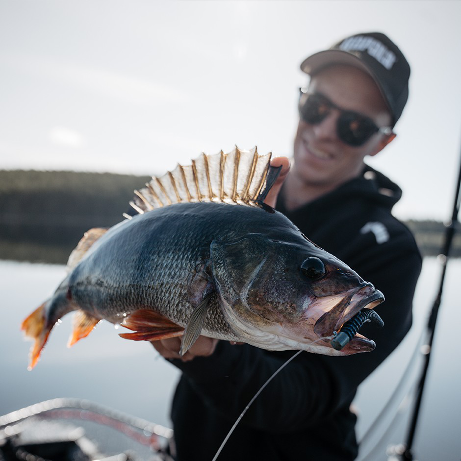 Ned's BLT CCNBTNE3 APL