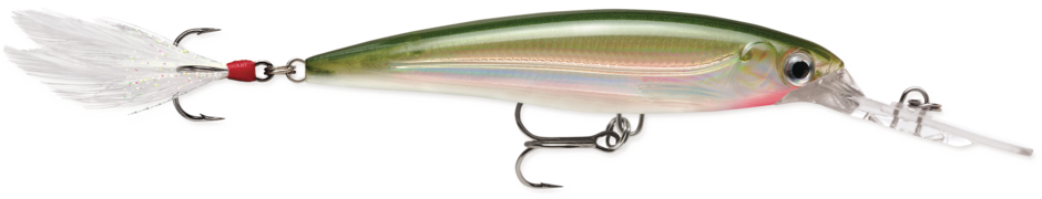 X-Rap Deep 08 Olive Green