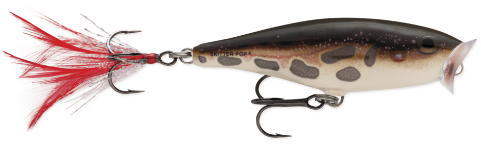 Skitter Pop 05 Frog