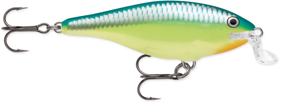 Shallow Shad Rap 09 Caribbean Shad